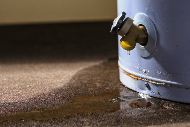 Best Flooded house restoration  in South Padre Island, TX