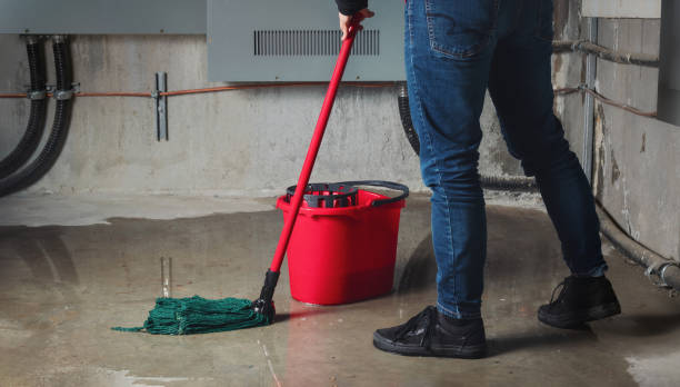 Best Water damage restoration near me  in South Padre Island, TX