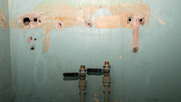 Best Commercial water damage restoration  in South Padre Island, TX