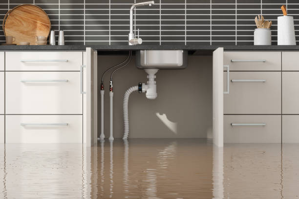 Best Professional water damage repair  in South Padre Island, TX