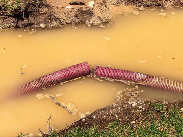 Best Sewage cleanup and water damage restoration  in South Padre Island, TX
